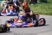 20110501_ales_agnus (2135)